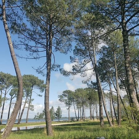 Appartements Au Coeur Du Golf, Proche Du Lac Et Velodyssee บิสการ์รอส ภายนอก รูปภาพ