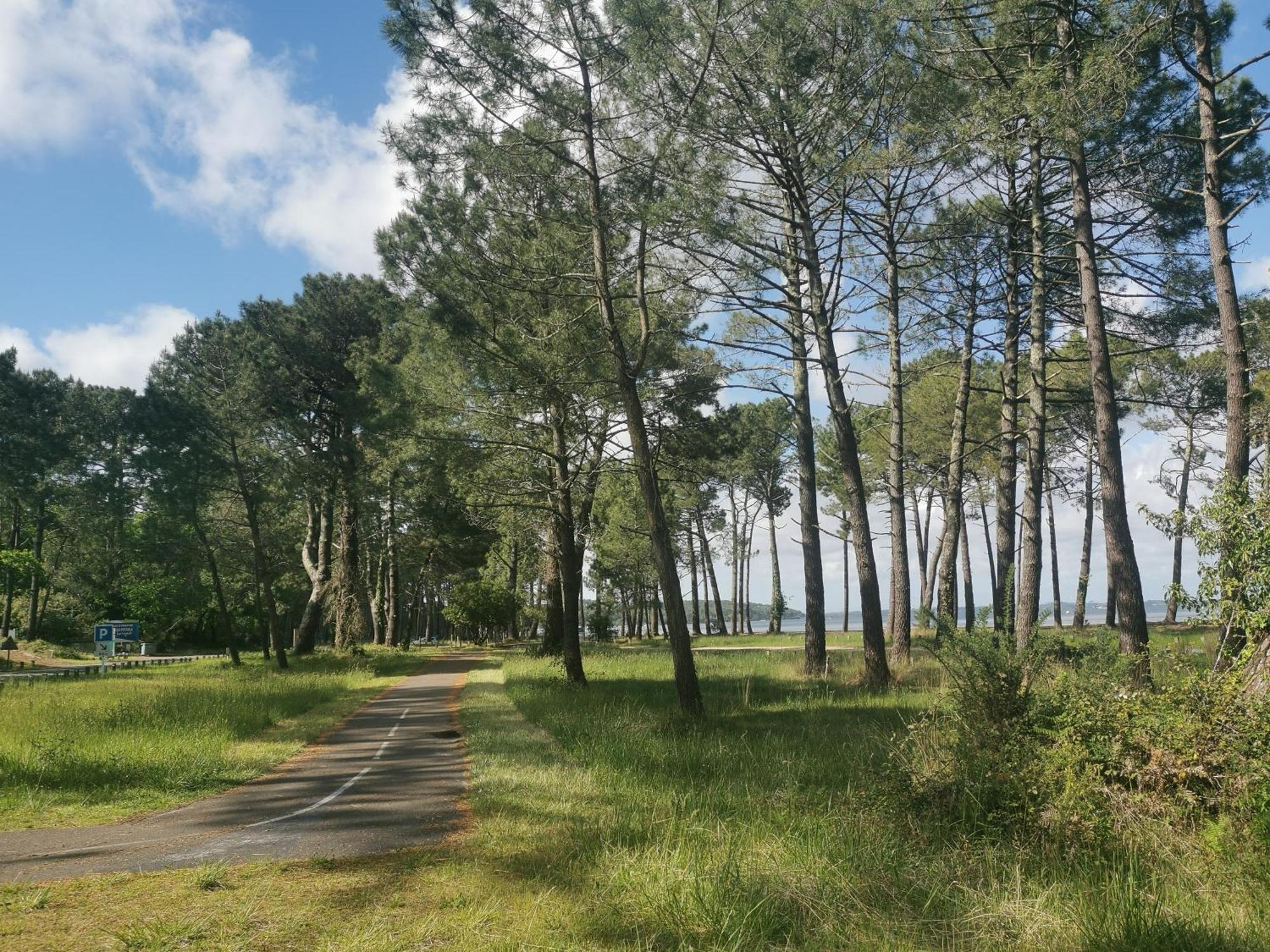 Appartements Au Coeur Du Golf, Proche Du Lac Et Velodyssee บิสการ์รอส ภายนอก รูปภาพ