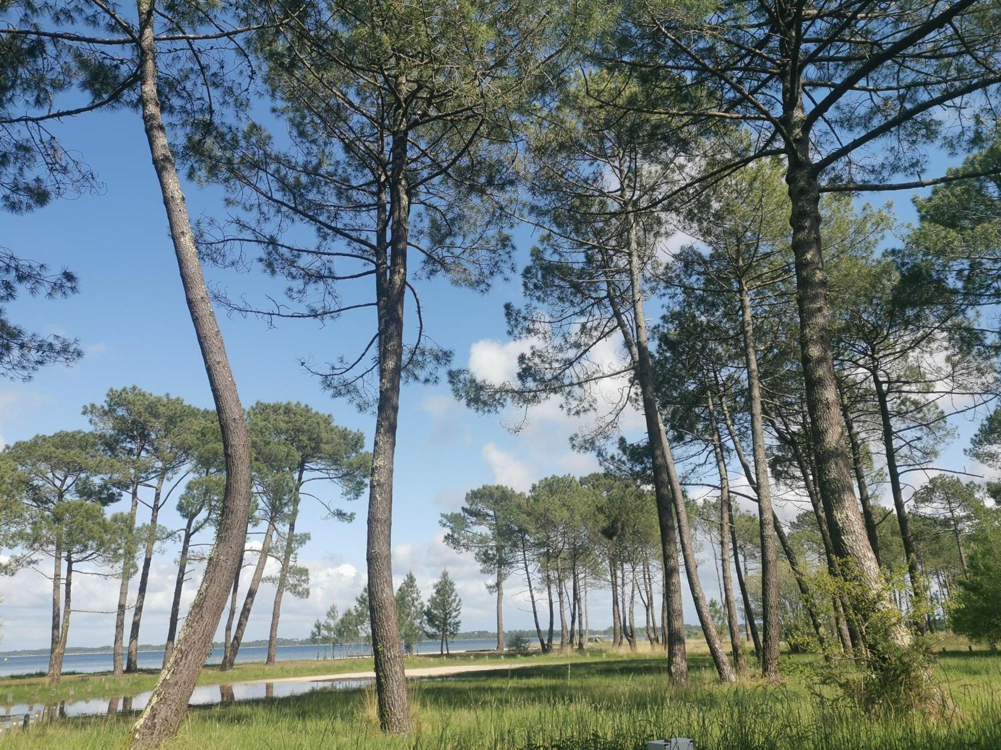 Appartements Au Coeur Du Golf, Proche Du Lac Et Velodyssee บิสการ์รอส ภายนอก รูปภาพ